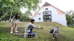 天然芝の屋外ドッグラン