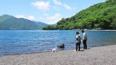 愛犬と湖畔散策も楽しめる栃木県日光のペット旅行