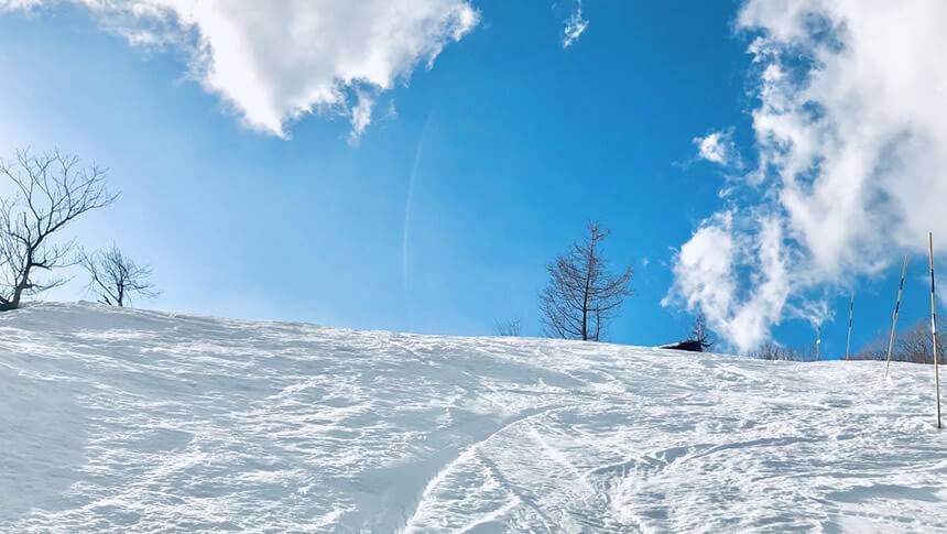 青空の下に広がる滑走跡のついた雪の斜面