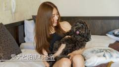 1642-slider02-shizuoka-hoozue-no-toki-stay-with-your-dog