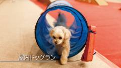 1354-slider02