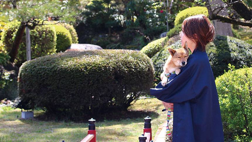 栃木県・鬼怒川にある愛犬と泊まれる温泉宿「鬼怒川絆」の日本庭園で、浴衣姿の飼い主に抱っこされる柴犬。愛犬との旅行のワンシーン