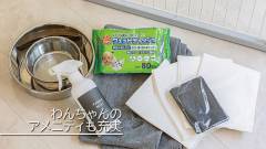 1635-slider08-gran-regalo-asagiri-dog-amenities