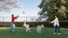 1427-alider02-wanwan-paradise-premier-izu-kogen-dogrun