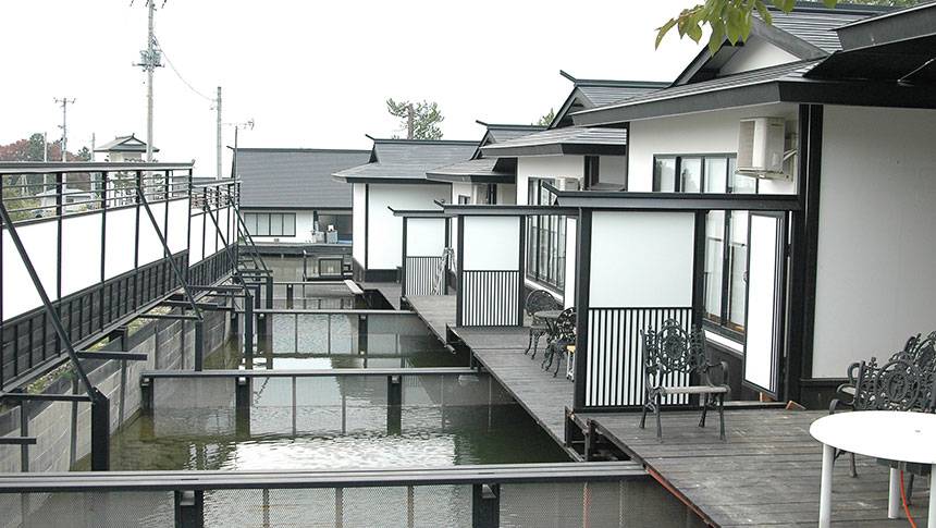 山形県の愛犬と泊まれる温泉宿「釣り宿 長者屋敷」客室のウッドデッキテラスから直接釣りが楽しめる、釣り宿 長者屋敷の広大な釣り堀の景色