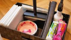 愛犬家に嬉しい充実のペット用アメニティ|那須の宿「ドッグスパリゾート アルトピアーノ」