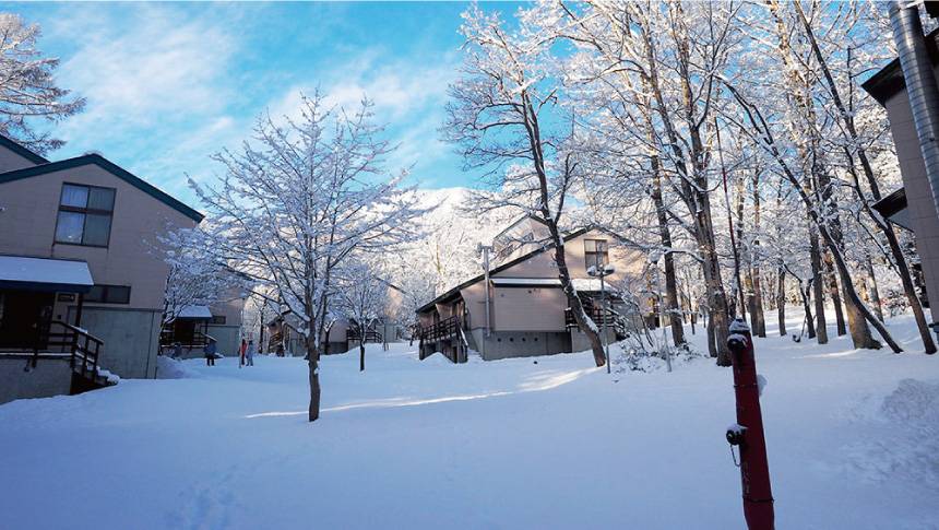 冬は一面銀世界に包まれるラボランドくろひめ。雪化粧した木々と宿泊棟が並ぶ光景は、冬ならではの幻想的な雰囲気を演出します。｜長野県の黒姫高原にある犬と泊まれる宿｜森の中の戸建ロッジでペットと過ごす休日を｜ラボランドくろひめ