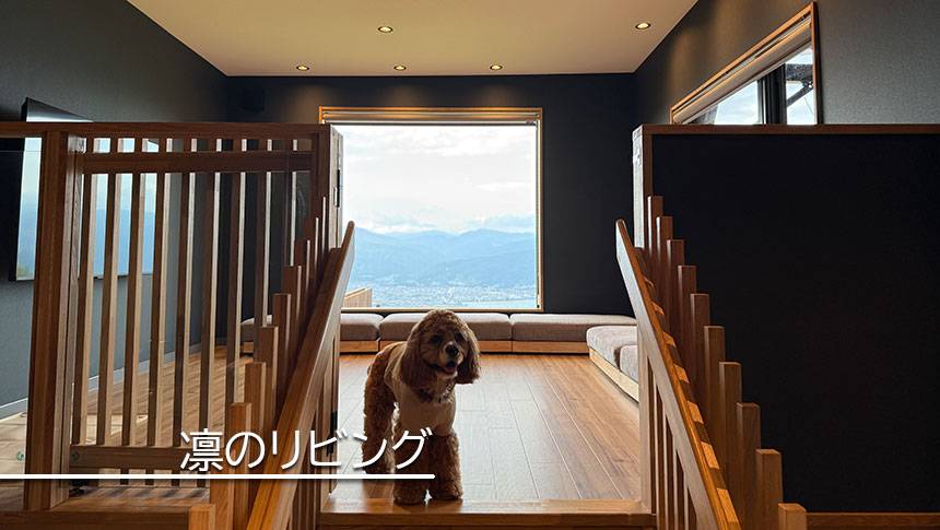 長野県・諏訪の愛犬と泊まれる宿「INU邸 SKY TERRACE SUWA」｜「凛」の客室リビングでくつろぐ犬と大きな窓からの景色
