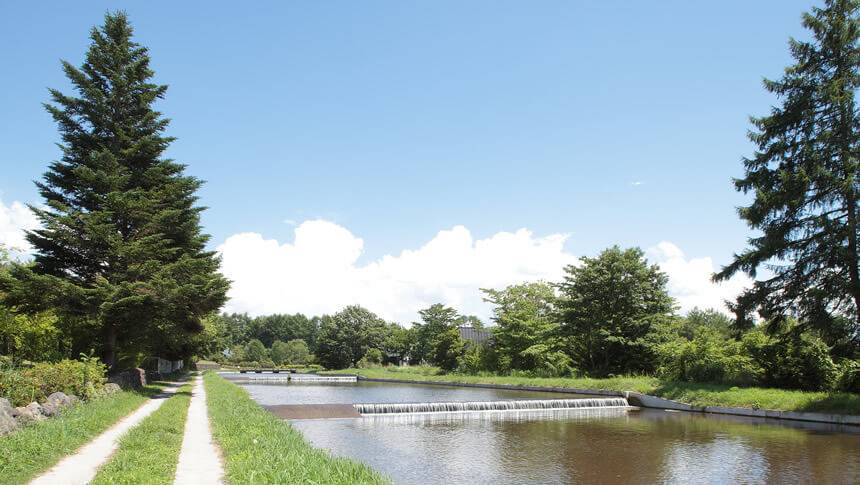 軽井沢・御影用水の穏やかな風景。レジーナリゾート軽井沢御影用水に隣接し、愛犬との散歩に最適な美しい水辺の小道