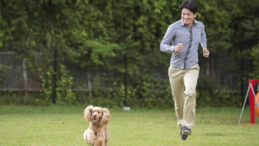 山中湖のペット宿わんわんパラダイス プレミアのアジリティ付き屋外ドッグランで愛犬と走る男性。