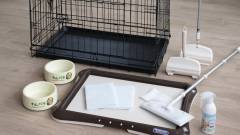 浜名湖で犬と泊まれる宿のドッグアメニティ充実|わんわんパラダイスホテルのペット備品