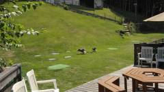 0531-slider01