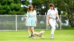 1276-slider05-shiga-hotel-biwadog-dogrun