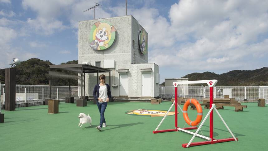 わんわんパラダイス鳥羽の屋上DOG PARKで愛犬と遊ぶ様子