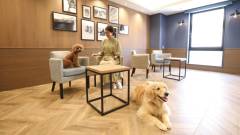 1524-slider06_inumoshibakouen_lobby