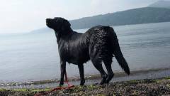 0202-slider04-yamanshi-Private-House-Byron-Playing-in-the-water