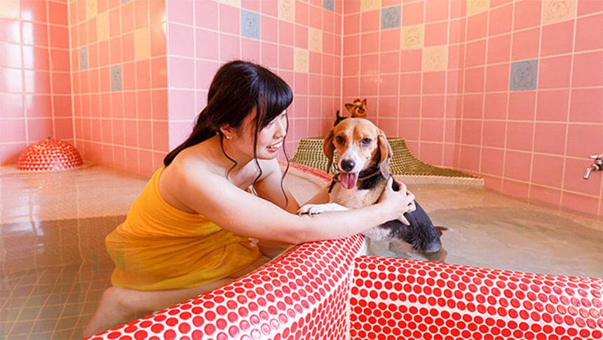 栃木県鬼怒川温泉のきぬ川国際ホテルで愛犬と入れるペット専用温泉