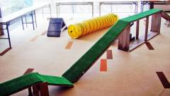 0036-slider08-yamagata-zenshichinoyu-indoor-dogrun