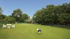 0598-slider03-hotelshunka-tottori-daisenresort-dogrun
