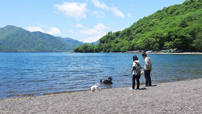 きぬ川国際ホテルからの旅行で愛犬と湖畔を楽しむ栃木県日光エリア