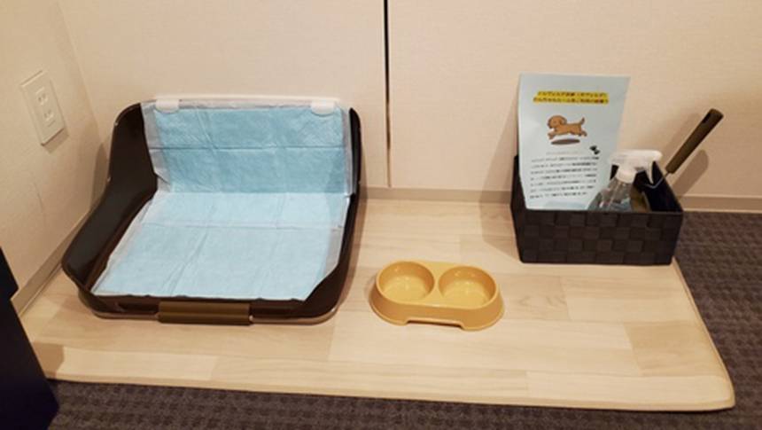 ホテルイルヴェルデ京都の犬用アメニティ｜ペットと安心して泊まれる専用備品セット完備