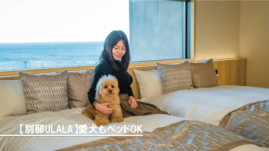 静岡県河津町のホテル四季の蔵・別邸PULALAで愛犬と過ごせるオーシャンビューの寝室