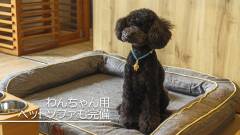 1618-slider04