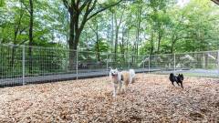 1637-slider07_Regina-Resort-Yufuins-dog-run