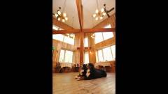 1150-slider05-yamanashi-pension-boschetto-dog