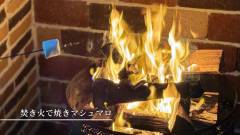 淡路島の夜を楽しむ焚き火と焼きマシュマロ