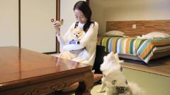 愛犬と客室でくつろぐ温泉旅行｜西伊豆のゆるり西伊豆