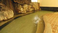 ホテルいかほ銀水の天然温泉｜伊香保温泉・ペットと泊まれる宿