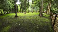 1285-slider04-caro-foresta-motohakone-luchia-dogrun