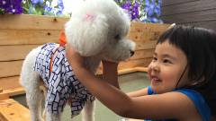 1372-message-tochigi-fukurakunoyakata-dogs-and-children