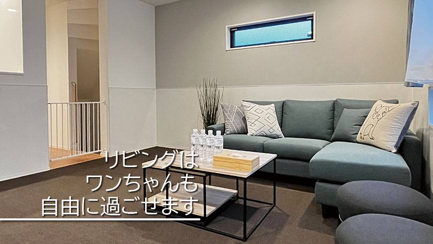大阪府・大阪ベイエリアの犬と泊まれる宿「カーサステラ10byリエゾン」の室内｜グレーのアクセントクロスがおしゃれなリビング。ブルーグレーのL字型ソファには北欧風のクッションとフレンチブルドッグのイラストのクッションが置かれている。手前にはネストテーブルがあり、奥にはペットゲートが設置されている。