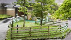 1285-slider02-caro-foresta-motohakone-luchia-dog-run