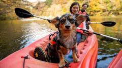 1218-slider11-tochigi-hotel-foresthills-nasu-dogs-and-canoes