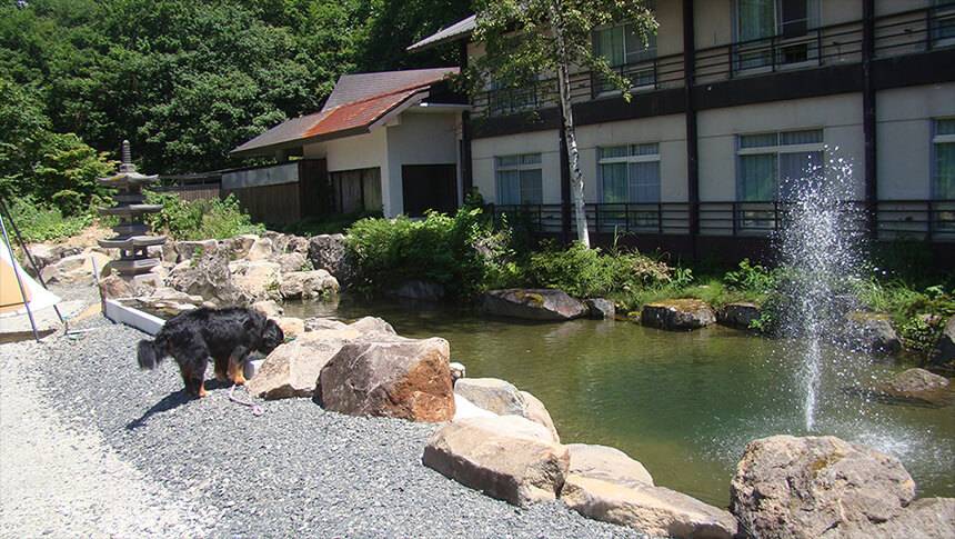 山形県・蔵王温泉にある犬と泊まれる宿「善七の湯」｜宿の建物に隣接した中庭。石組みの池には噴水があり、リードに繋がれた黒い大型犬が池のほとりを探索している様子。