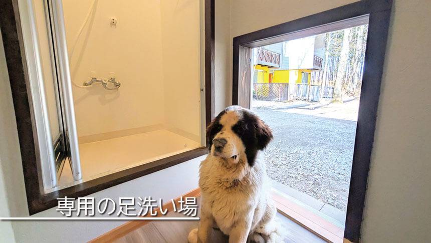 栃木県・那須にある愛犬と泊まれる宿ミモザ・リトリート那須の客室内にある犬専用の足洗い場・シャワースペースと寛ぐ大型犬