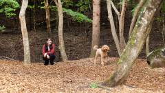 1616-WanWanParadise-Premium-Shiobara-dogrun-slider04