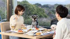 1427-alider09-wanwan-paradise-premier-izu-kogen-meal