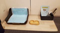 犬用トイレや消臭スプレーなど完備｜ホテルイルヴェルデ京都で愛犬との快適ステイをサポート