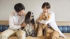 1391-slider02-yamanashi-wanwanparadaise-premire-yamanakako-dog-lover