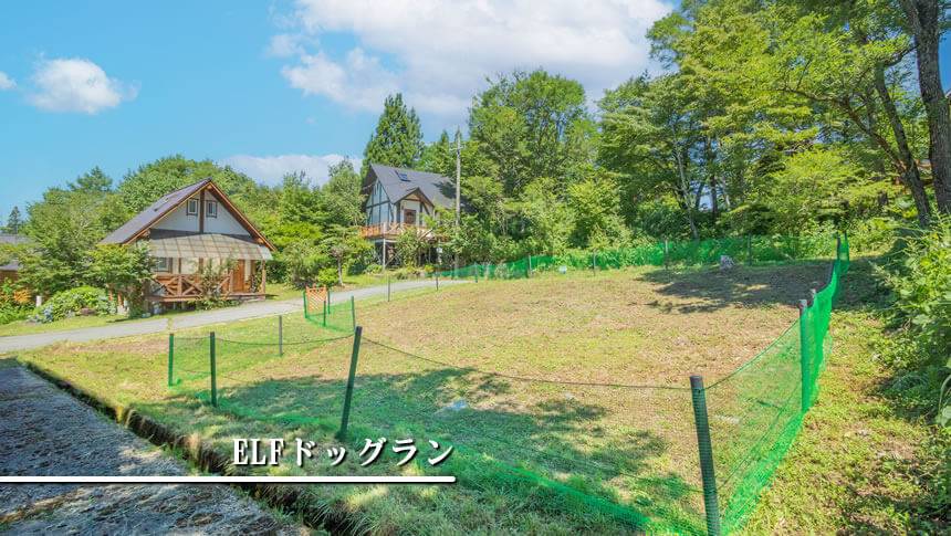 ゆがふ岐阜「ELF」に設けられた自然に囲まれた専用ドッグラン