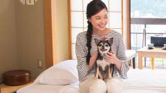 1156-slider04-gifu-wanpakutei-relaxing-with-your-dog