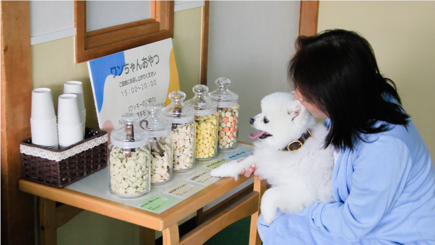 瓶に並んだ色とりどりの犬用おやつを前に楽しそうな愛犬。ペット連れに嬉しいサービスが充実した温泉宿の魅力。｜犬と泊まれる北海道の宿｜源泉至近の温泉が自慢｜ゆとりろ洞爺湖