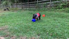 1454-slider08