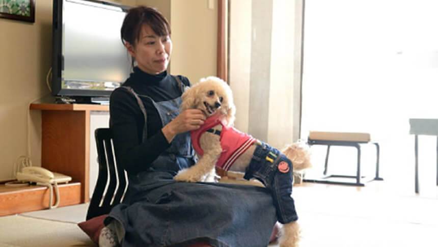 三重県・鳥羽の愛犬と泊まれる宿「鳥羽グランドホテル」の客室内で愛犬とくつろぐ様子。ペットと同室宿泊ができる専用プラン