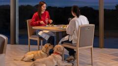 1427-alider05-wanwan-paradise-premier-izu-kogen-meal-scene