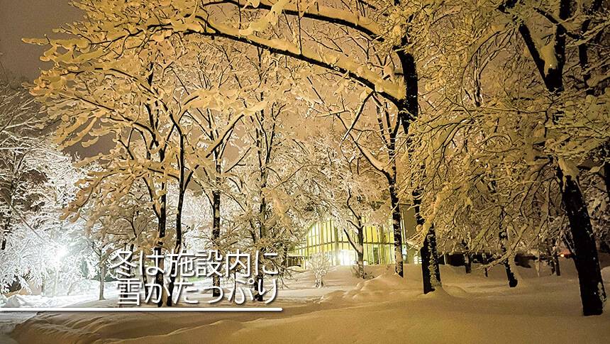 長野県黒姫高原のラボランドくろひめ。冬の夜にライトアップされた雪景色と宿泊施設の様子